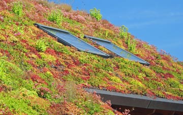 Luson living roof systems