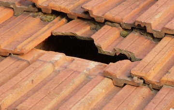 roof repair Luson, Devon
